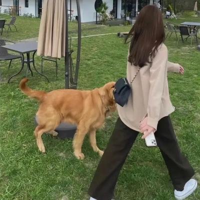 猪头汉堡饱2